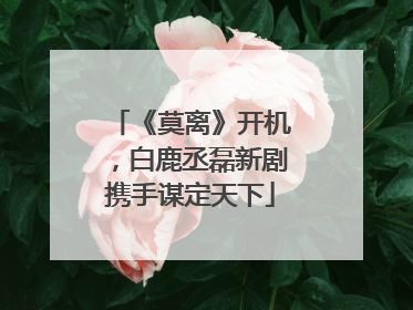 《莫离》开机，白鹿丞磊新剧携手谋定天下