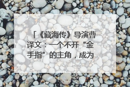 《藏海传》导演曹译文：一个不开“金手指”的主角，成为苍生守护者