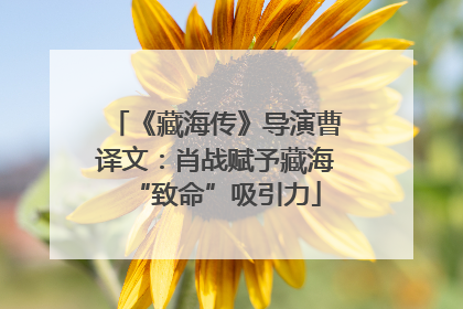 《藏海传》导演曹译文：肖战赋予藏海“致命”吸引力