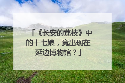 《长安的荔枝》中的十七娘，竟出现在延边博物馆？