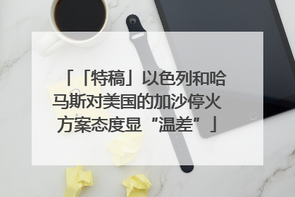 「特稿」以色列和哈马斯对美国的加沙停火方案态度显“温差”