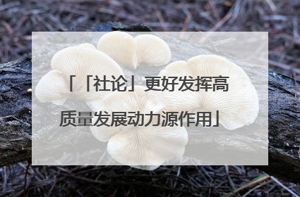 「社论」更好发挥高质量发展动力源作用