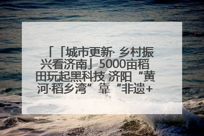 「城市更新· 乡村振兴看济南」5000亩稻田玩起黑科技 济阳“黄河·稻乡湾”靠“非遗+露营”火出圈