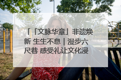 「文脉华章」非遗焕新 生生不息｜漫步六尺巷 感受礼让文化浸润的“巷”往生活