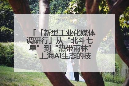 「新型工业化媒体调研行」从“北斗七星”到“热带雨林”：上海AI生态的技术商业共生密码
