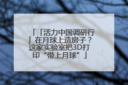 「活力中国调研行」在月球上造房子？这家实验室把3D打印“带上月球”
