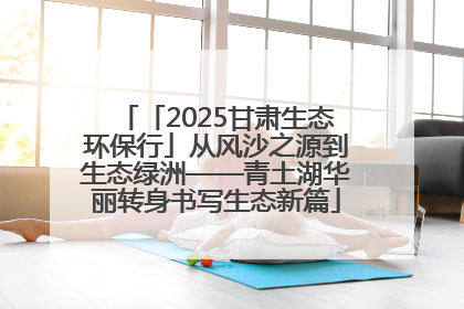 「2025甘肃生态环保行」从风沙之源到生态绿洲——青土湖华丽转身书写生态新篇