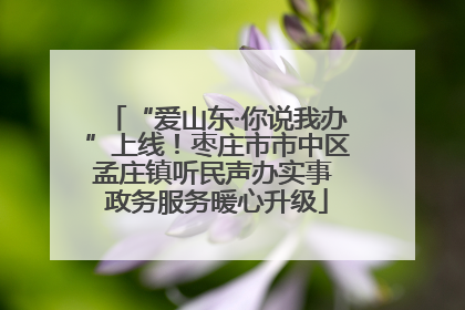 “爱山东·你说我办”上线！枣庄市市中区孟庄镇听民声办实事 政务服务暖心升级