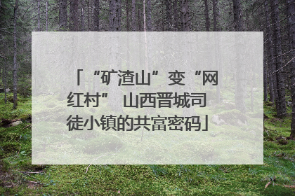 “矿渣山”变“网红村” 山西晋城司徒小镇的共富密码