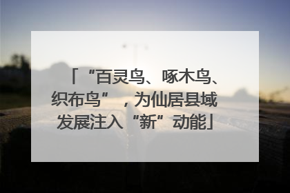 “百灵鸟、啄木鸟、织布鸟”，为仙居县域发展注入“新”动能