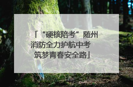 “硬核陪考”随州消防全力护航中考 筑梦青春安全路