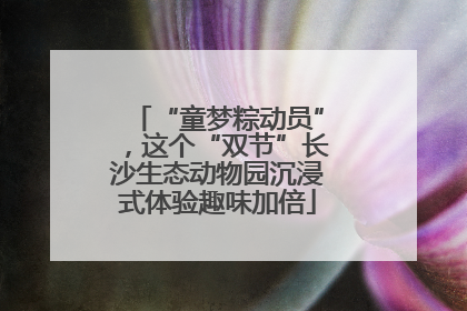 “童梦粽动员”，这个“双节”长沙生态动物园沉浸式体验趣味加倍