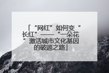 “网红”如何变“长红”——“一朵花”激活城市文化基因的破题之路