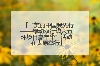 “美丽中国我先行——绿动双行线六五环境日嘉年华”活动在太原举行