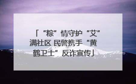 “粽”情守护“艾”满社区 民警携手“黄鹤卫士”反诈宣传