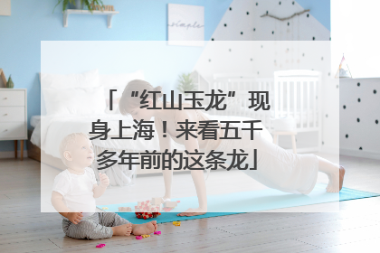 “红山玉龙”现身上海！来看五千多年前的这条龙