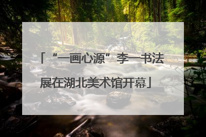 “一画心源”李一书法展在湖北美术馆开幕