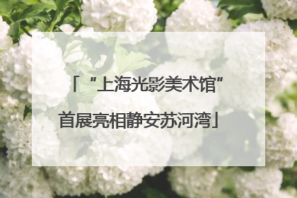 “上海光影美术馆”首展亮相静安苏河湾