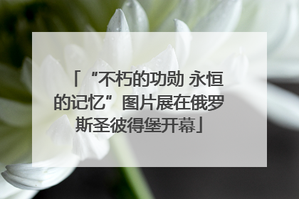 “不朽的功勋 永恒的记忆”图片展在俄罗斯圣彼得堡开幕