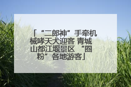 “二郎神”手牵机械哮天犬迎客 青城山都江堰景区 “圈粉”各地游客