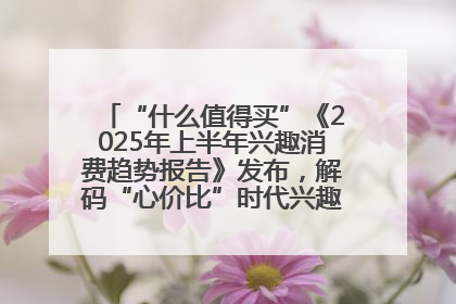 “什么值得买”《2025年上半年兴趣消费趋势报告》发布，解码“心价比”时代兴趣消费新范式