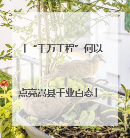 “千万工程”何以点亮嵩县千业百态