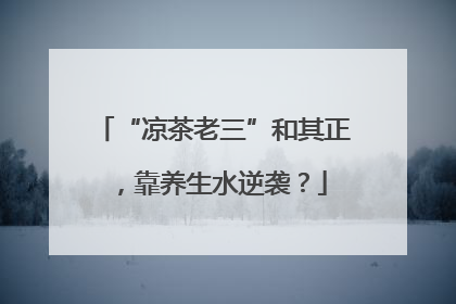 “凉茶老三”和其正，靠养生水逆袭？