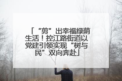 “剪”出幸福绿荫生活！控江路街道以党建引领实现“树与民”双向奔赴
