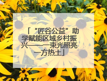 “匠谷公益”助学赋能区域乡村振兴——一束光照亮一方热土