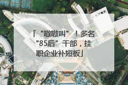 “嗷嗷叫”！多名“85后”干部，挂职企业补短板