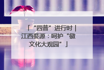 “四普”进行时｜江西婺源：呵护“徽文化大观园”