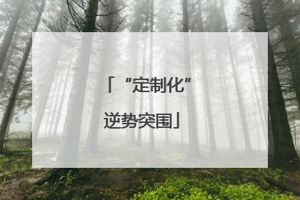 “定制化” 逆势突围