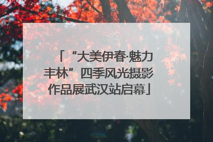 “大美伊春·魅力丰林”四季风光摄影作品展武汉站启幕