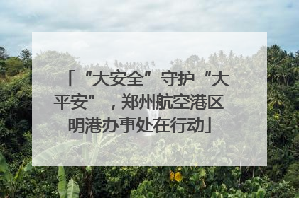 “大安全”守护“大平安”，郑州航空港区明港办事处在行动