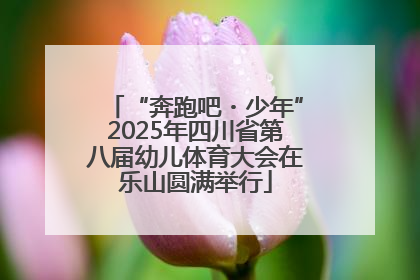 “奔跑吧・少年”2025年四川省第八届幼儿体育大会在乐山圆满举行