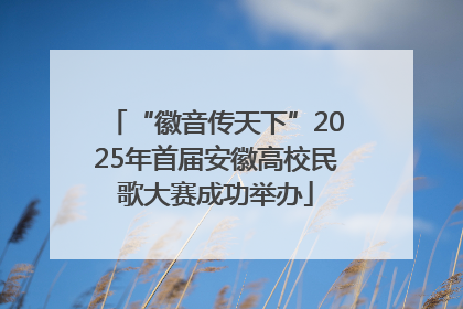 “徽音传天下”2025年首届安徽高校民歌大赛成功举办