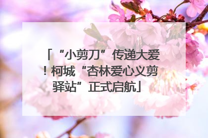 “小剪刀”传递大爱！柯城“杏林爱心义剪驿站”正式启航