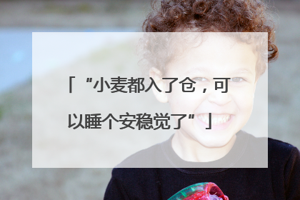 “小麦都入了仓，可以睡个安稳觉了”