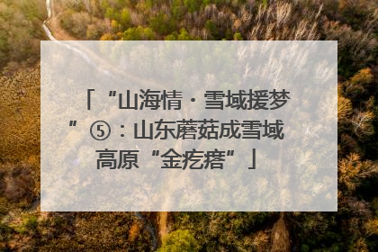 “山海情・雪域援梦”⑤：山东蘑菇成雪域高原“金疙瘩”