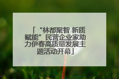 “林都聚智 新质赋能”民营企业家助力伊春高质量发展主题活动开幕