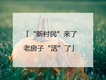 “新村民”来了 老房子“活”了