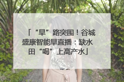 “旱”路突围！谷城盛康智能旱直播：缺水田“喝”上高产水