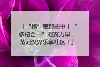“格”里那些事丨“多格合一”凝聚力量，楚河汉界乐享社区！