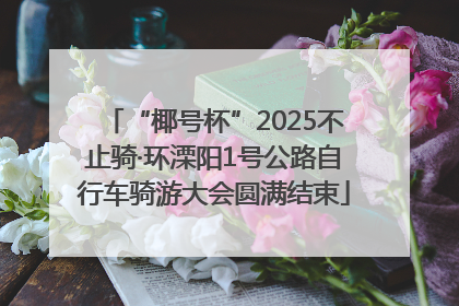 “椰号杯”2025不止骑·环溧阳1号公路自行车骑游大会圆满结束