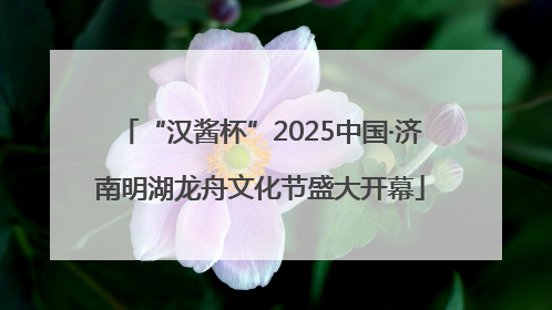 “汉酱杯”2025中国·济南明湖龙舟文化节盛大开幕