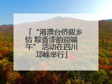 “港澳台侨叙乡情 粽香漆韵迎端午” 活动在四川邛崃举行