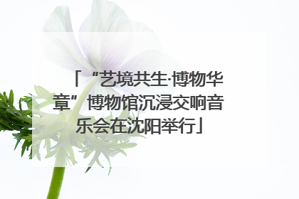 “艺境共生·博物华章”博物馆沉浸交响音乐会在沈阳举行