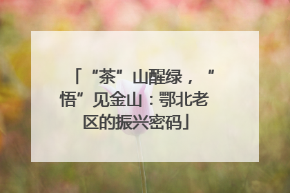 “茶”山醒绿，“悟”见金山：鄂北老区的振兴密码