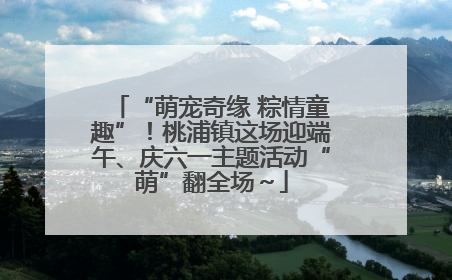 “萌宠奇缘 粽情童趣”！桃浦镇这场迎端午、庆六一主题活动“萌”翻全场～