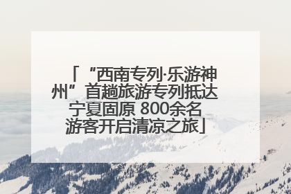 “西南专列·乐游神州”首趟旅游专列抵达宁夏固原 800余名游客开启清凉之旅